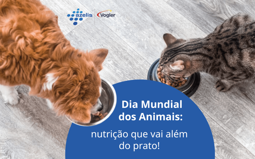 Dia Mundial dos Animais: nutrição que vai além do prato Dia Mundial dos Animais: nutrição que vai além do prato